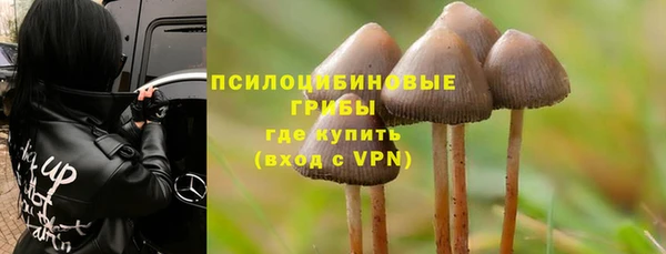 гашик Навашино