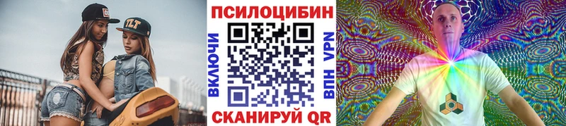 ОМГ ОМГ как войти  Калязин  Псилоцибиновые грибы прущие грибы 